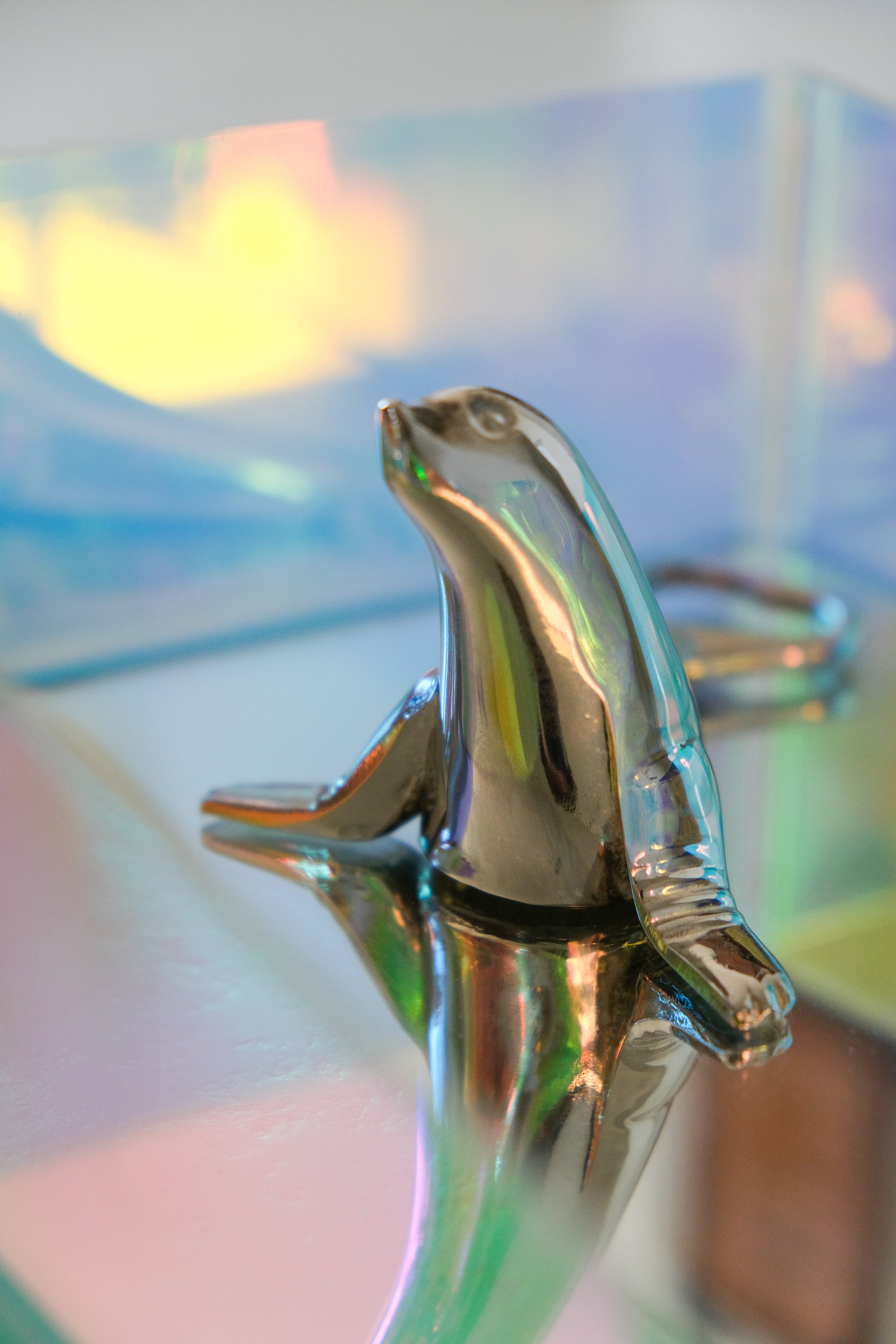 Seal bottle opener