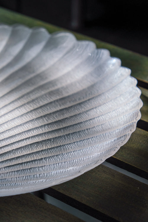 Shell plate