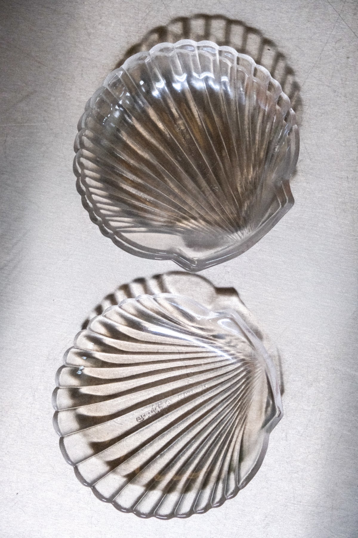 Arcuisine Glass Shell Dish - Sold Per Piece