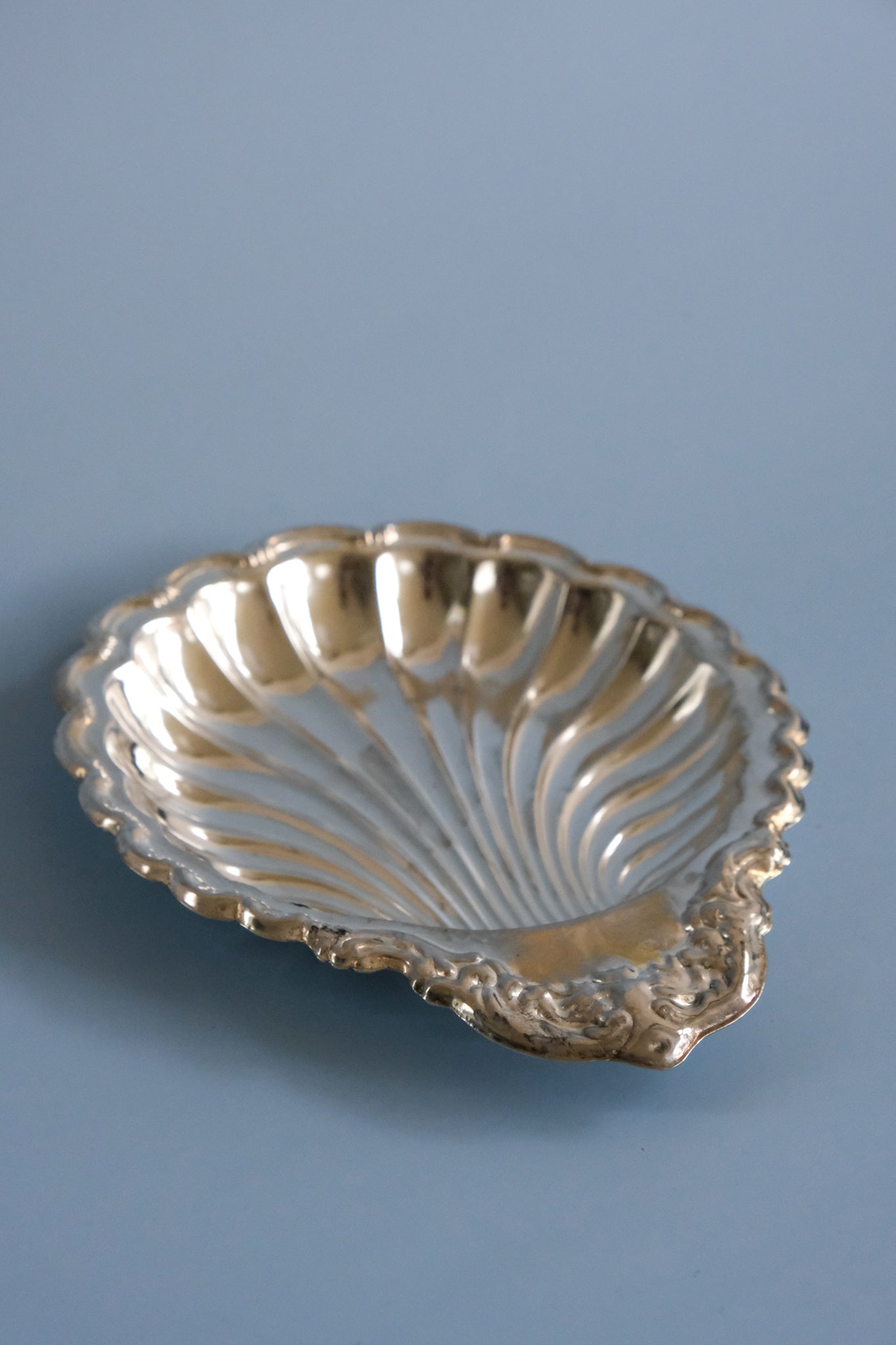 Shell dish